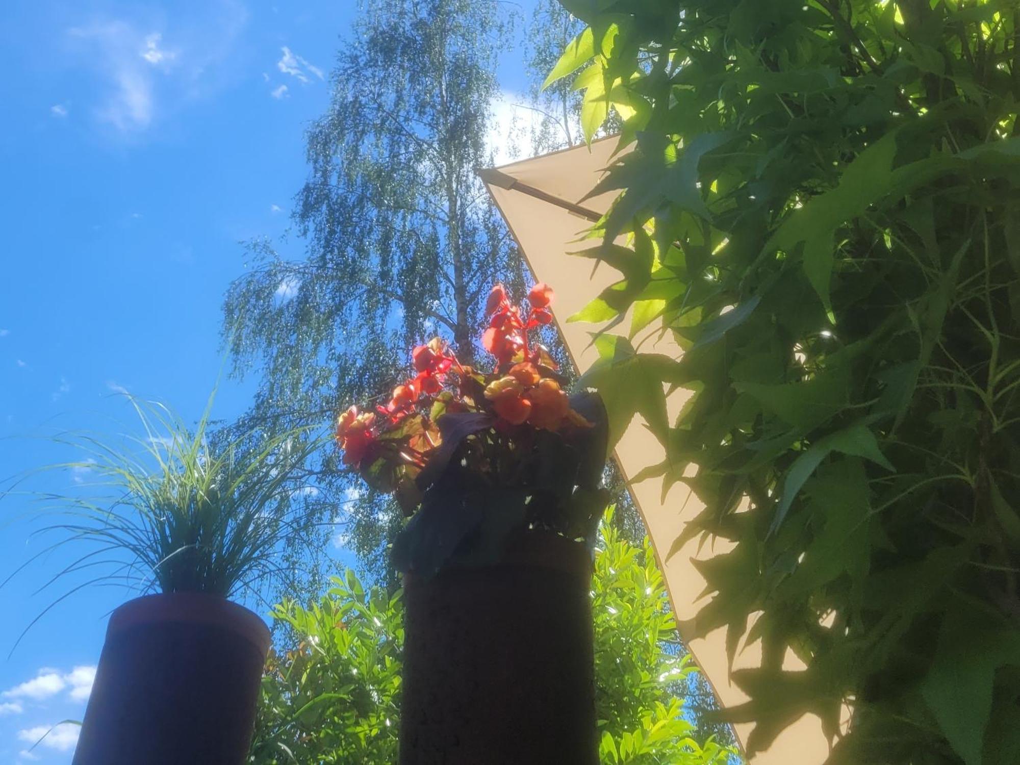 I24rooms - Gästezimmer, Mit Eigenem Garten Apartment